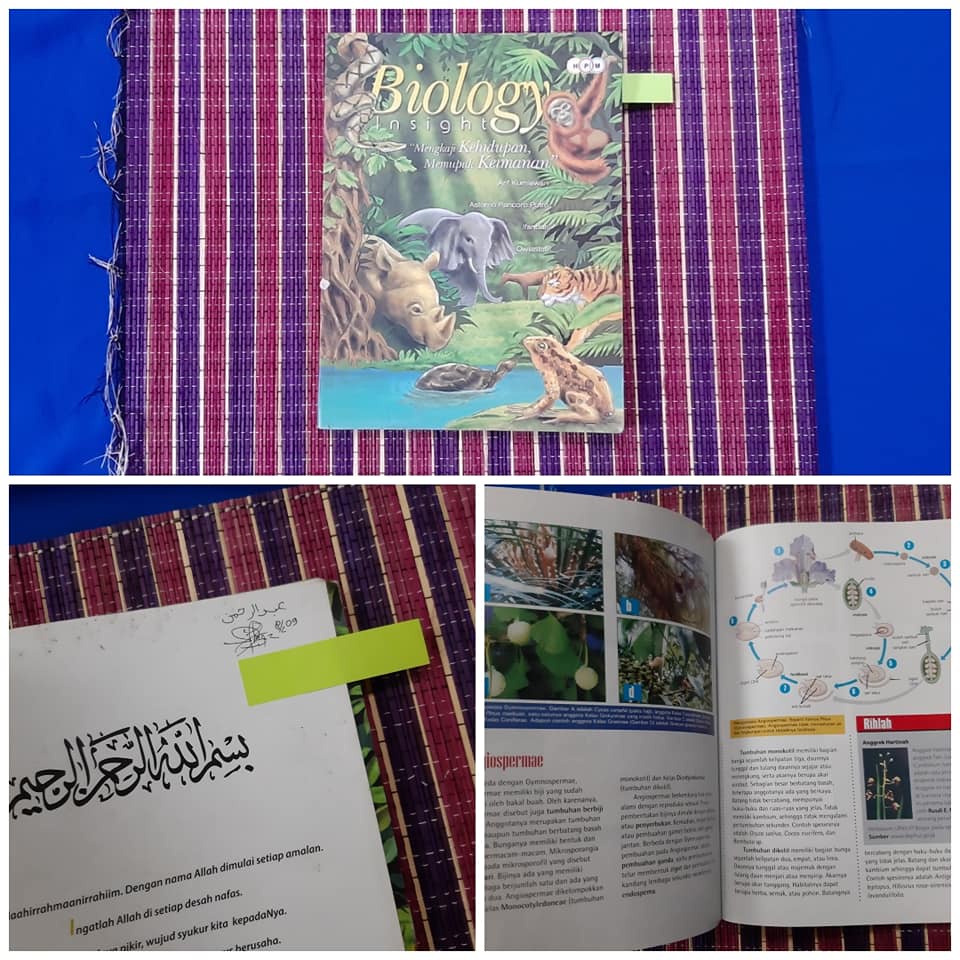Biology Insight buku anak bekas second preloved
