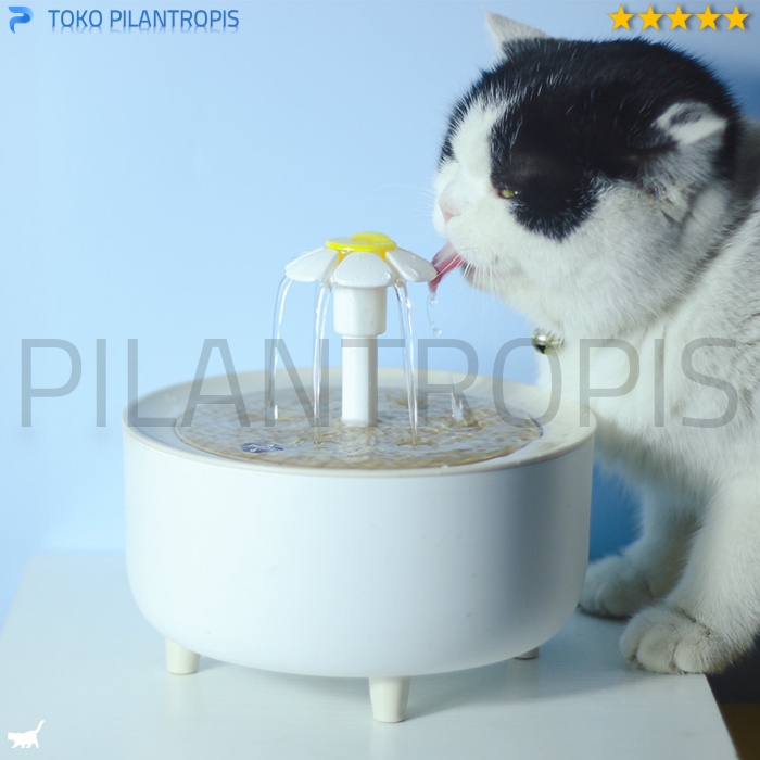 PET WATER FOUNTAIN DISPENSER TEMPAT MINUM KUCING AIR MANCUR OTOMATIS MURAH