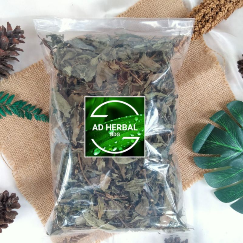 

Daun Kumis Kucing Kering Rempah Herbal Alami Atasi Batu Ginjal Isi 500 Gram