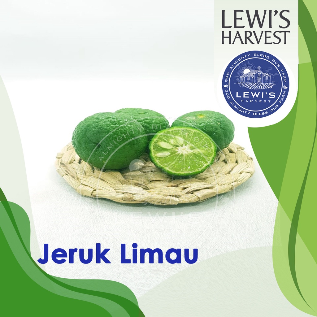 

Jeruk Limau fresh