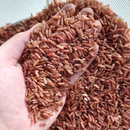 

Beras Merah Sosoh - Merk Bambu Wangi 5 KG