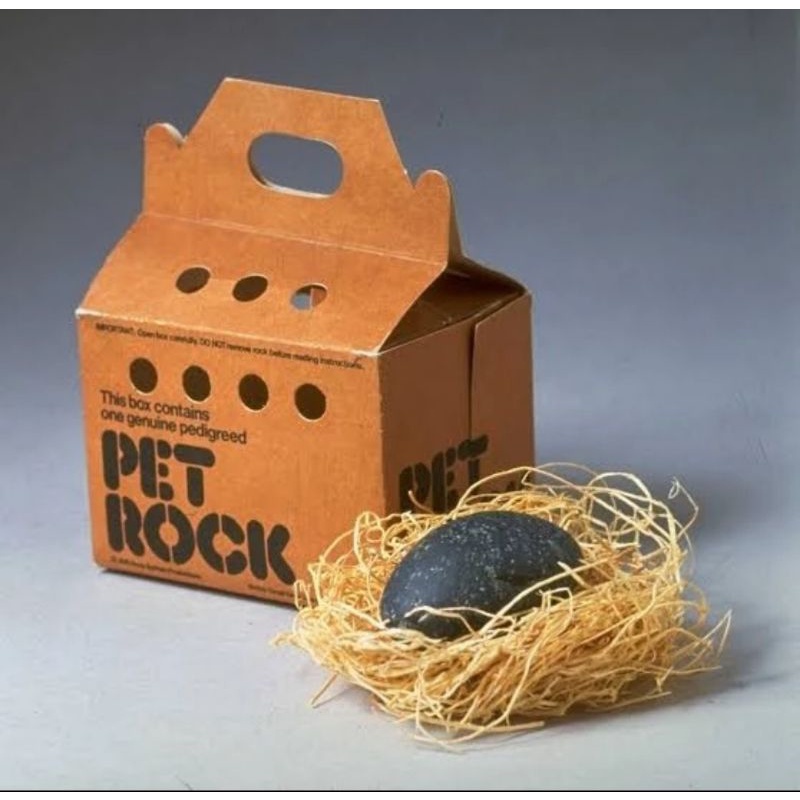 Pet Rock Special