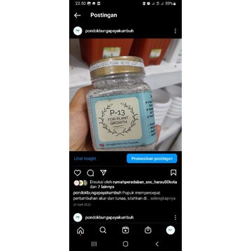 pupuk P13 ukuran kecil