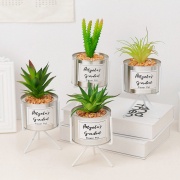 

Angelas Garden Succulent Pot Home Deco / Pot Bunga / Pot Unik