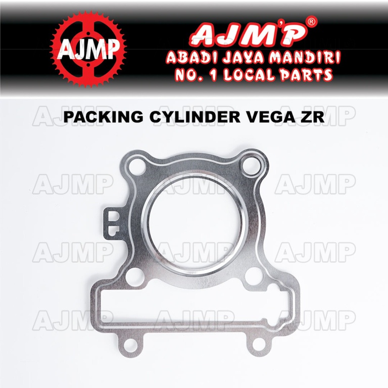 Packing Cylinder Head Vega ZR