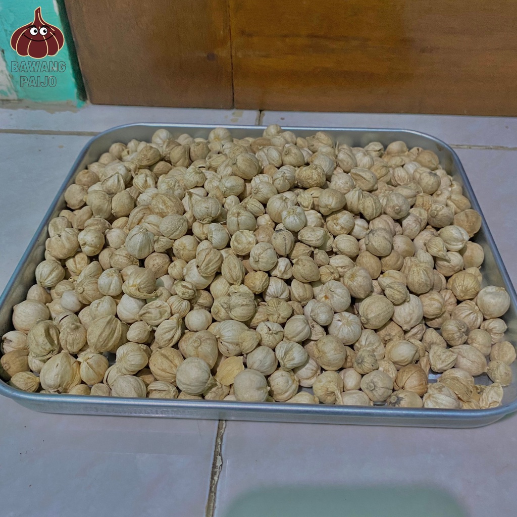 

Kapulaga lokal/kapulaga jawa 1kg