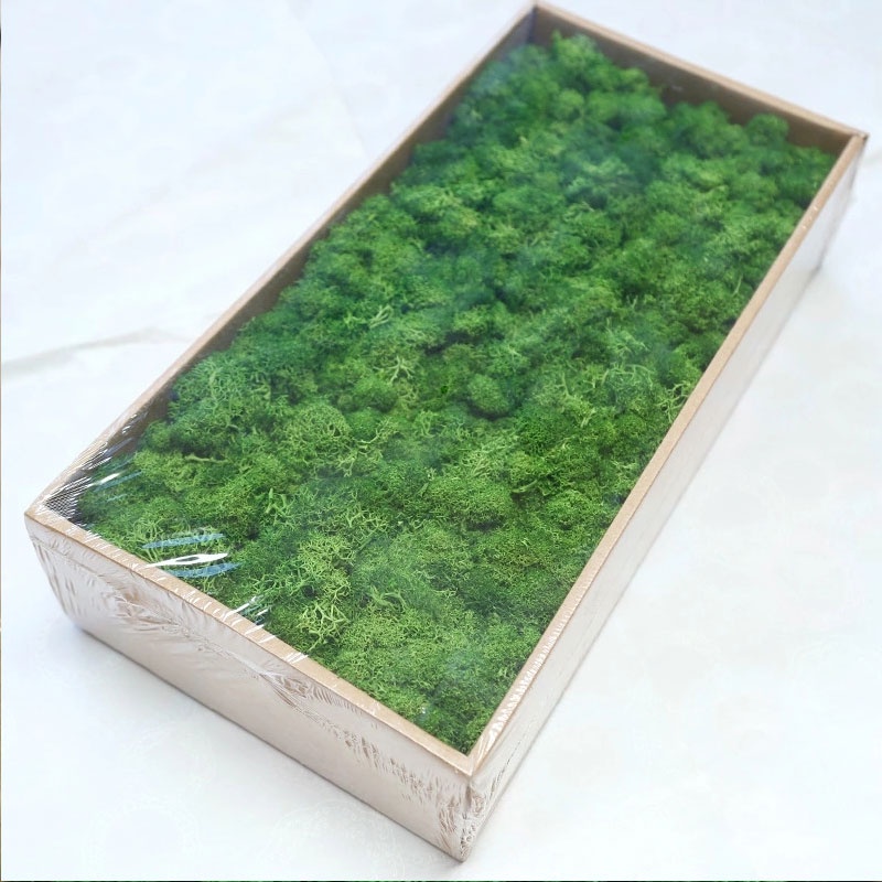 Miniatur Maket Reindeer Moss Lumut Rusa 500gr