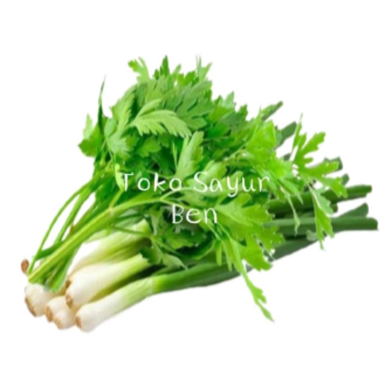 

daun bawang / daun seledri