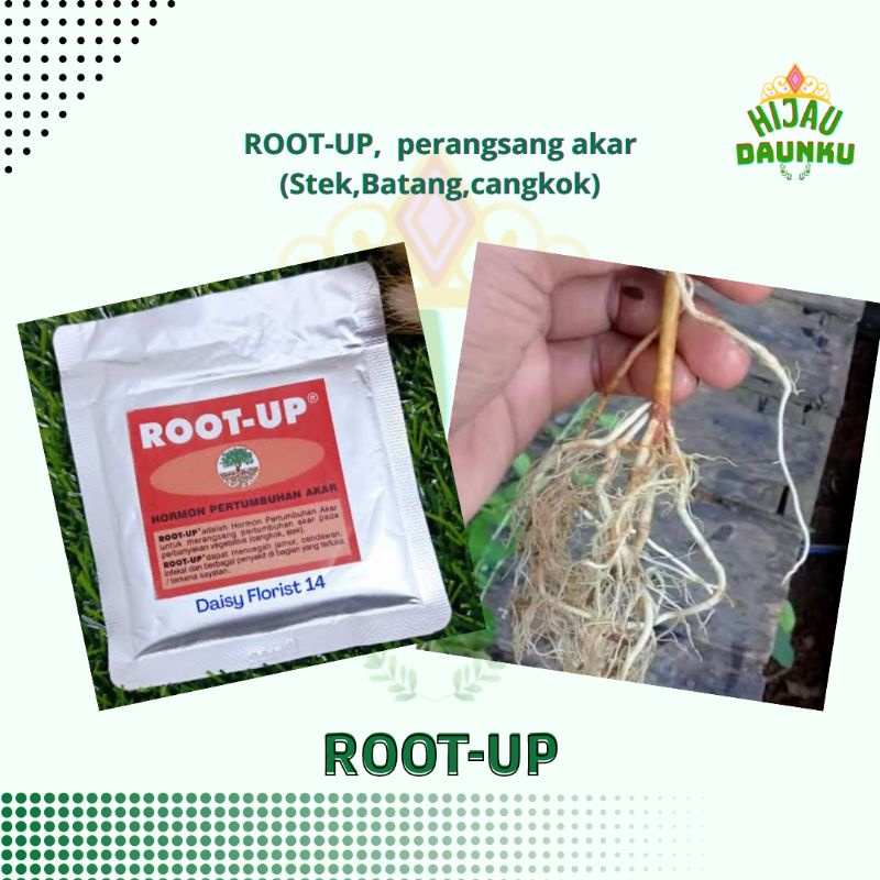 ROOT-UP Mempercepat Perangsang Pertumbuhan Akar Stek Cutting Atau Cangkok Batang Tanaman dan Pohon B