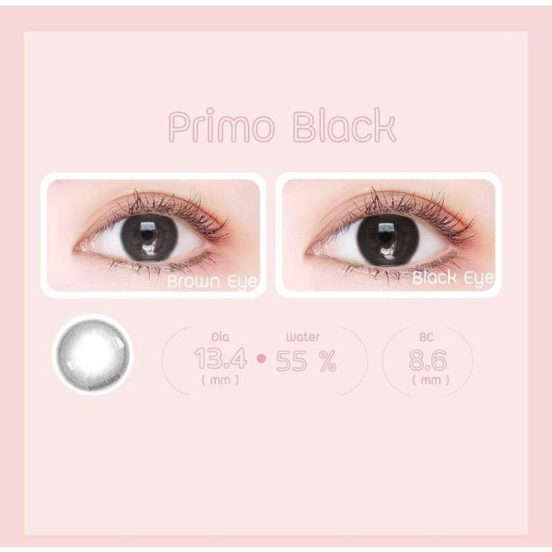 SOFTLENS MINI PRIMO BLACK KITTY KAWAII NORMAL MINUS s.d -10.00