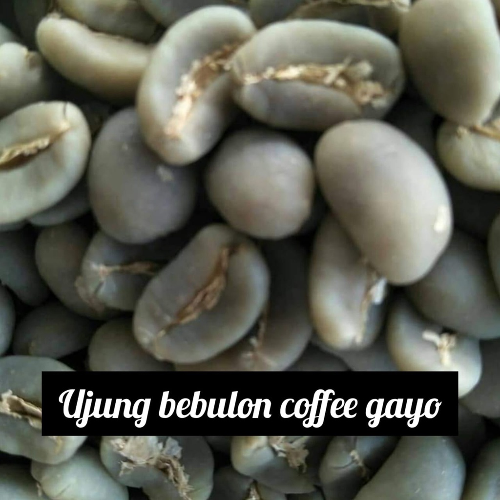 

Green Bean Kopi Gayo Semiwash 1 kg (Biji Mentah)