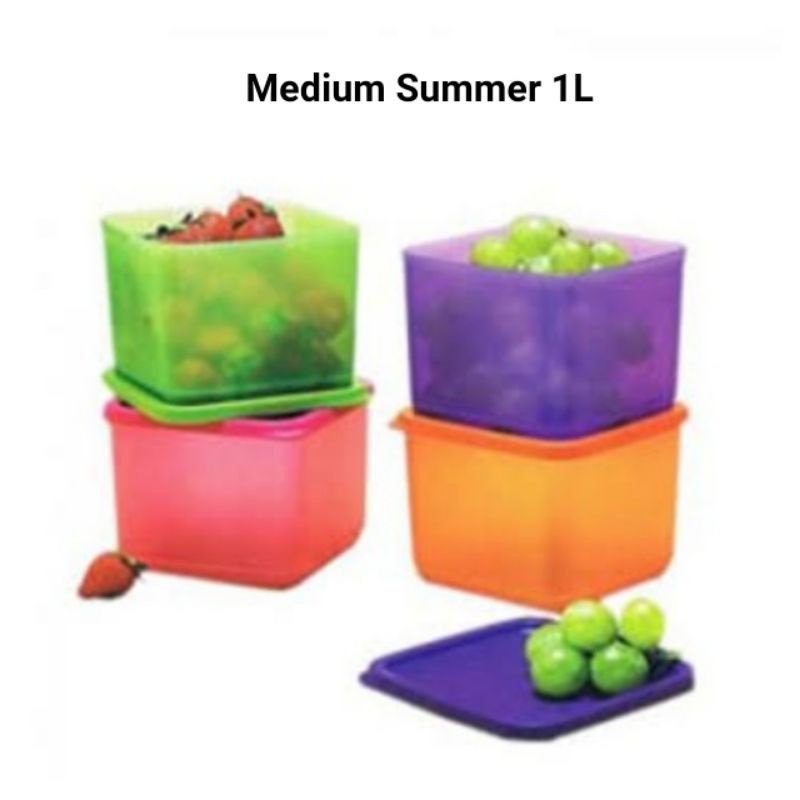 Medium Summer Fresh tupperware