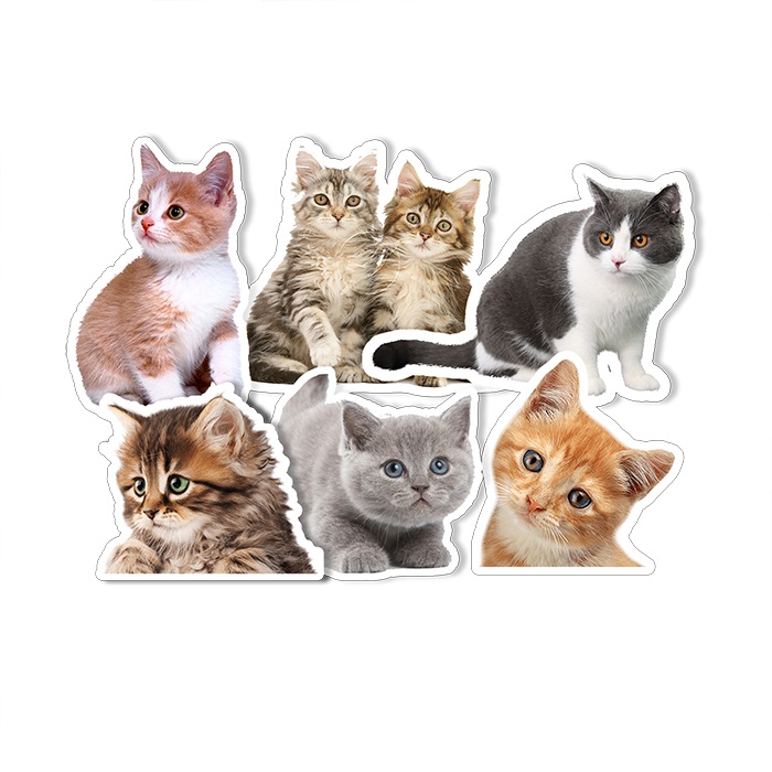 

Stiker Set Kucing isi 6 Pcs Bahan Vinil Tahan Air Waterproof