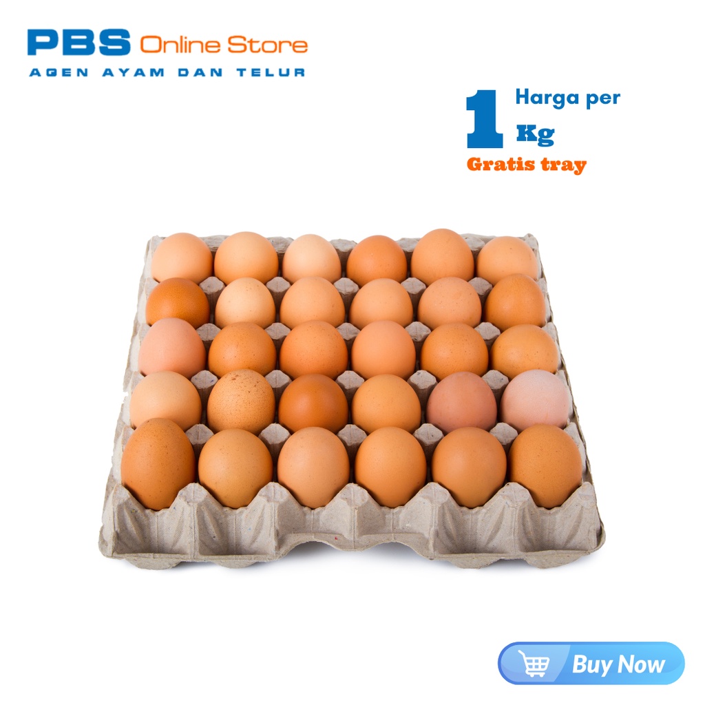 

Telur ayam 1 kg / Telur ayam negeri 1 kg / Agen telur ayam berkualitas