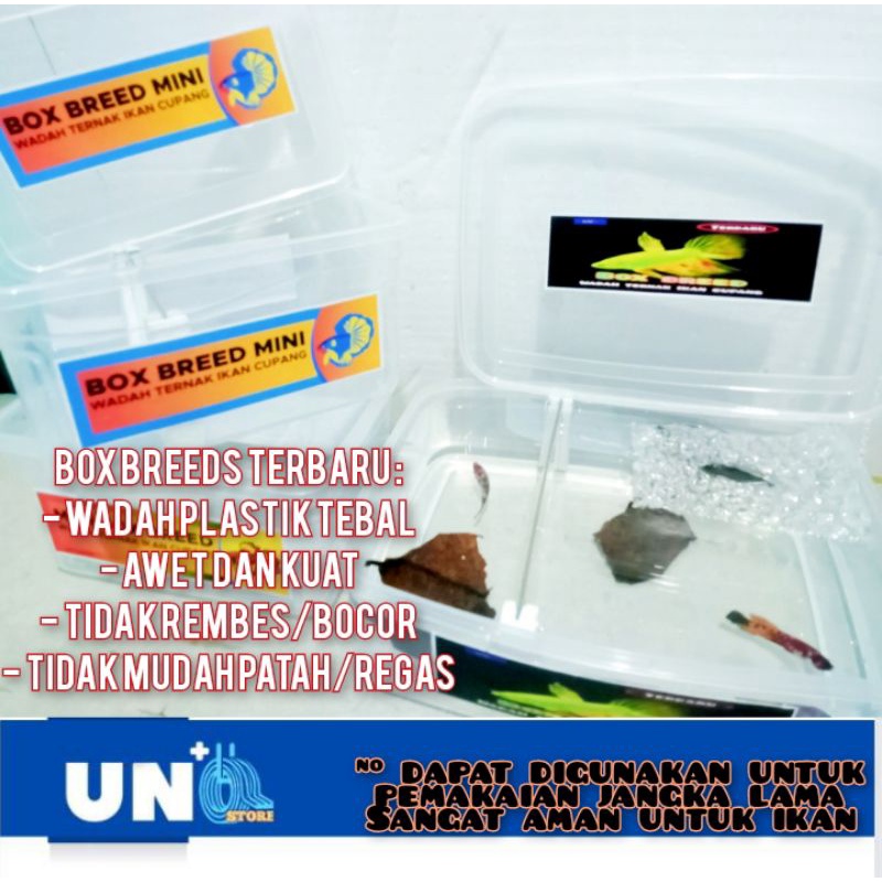 MINI BOX BREED WADAH TERNAK PENJODOHAN IKAN CUPANG