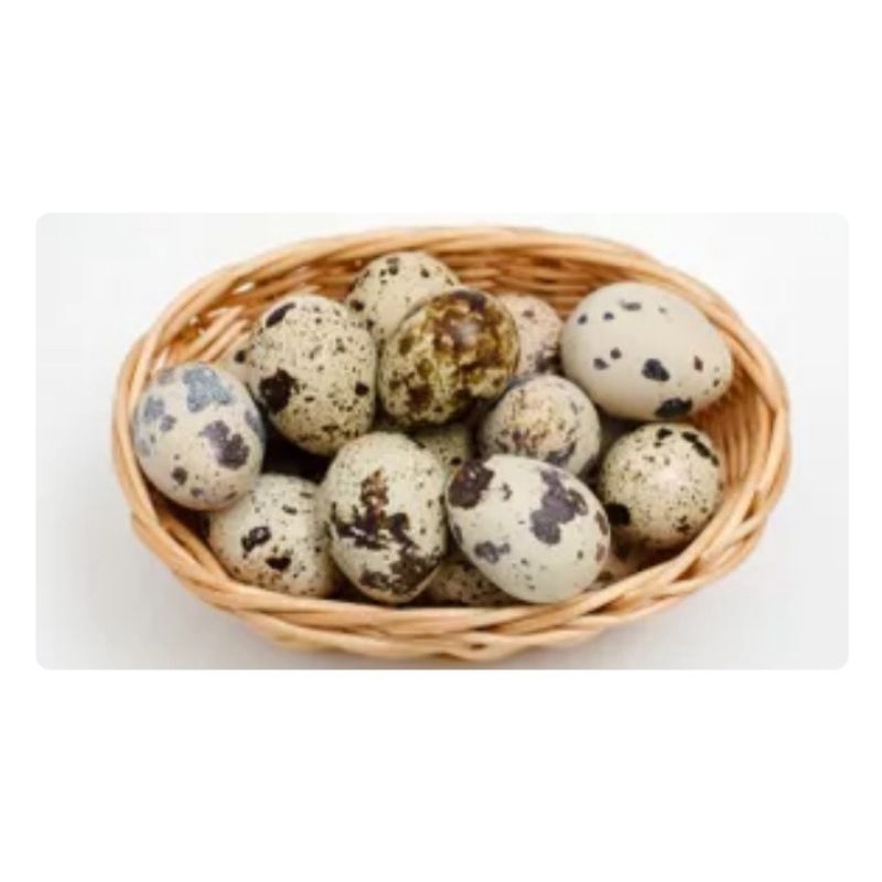 

telur puyuh 250gr