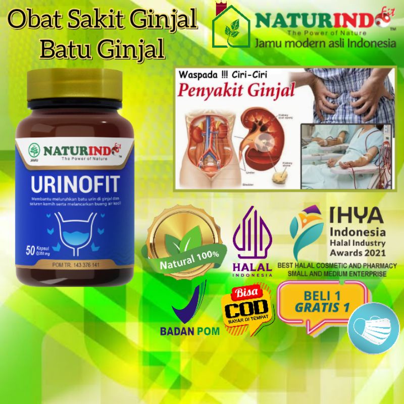 Obat Herbal Gangguan Ginjal Kencing Batu  Anyang Anyangen Batugin Ampuh Alat Kesehatan Medis URINOFI