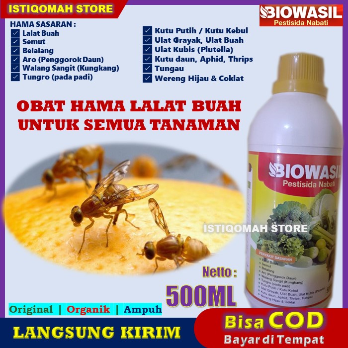 Jual Obat Semprot Pembasmi Hama Lalat Buah Ampuh Biowasil 500ml Pestisida Nabati Pengusir Lalat 3559