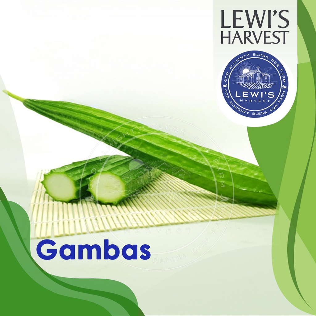 

Gambas fresh