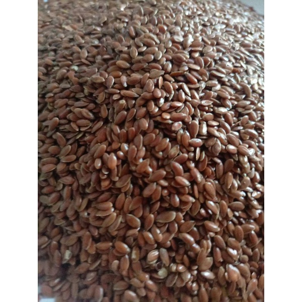 flexseed / biji rami organik