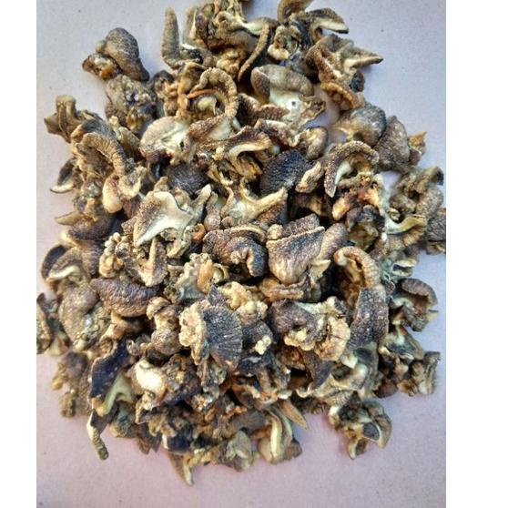 

STOCK READY G922 Kripik Bekicot Best Seller 100 Gram じ