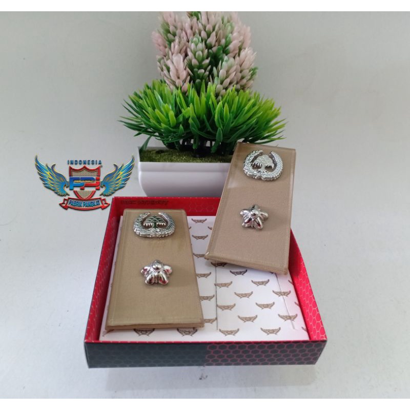 Pangkat Pdh 3A ASN Lampung Contur