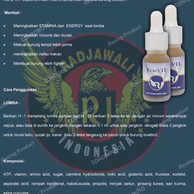 RealOne VIT multivitamin ATP khusus Lomba