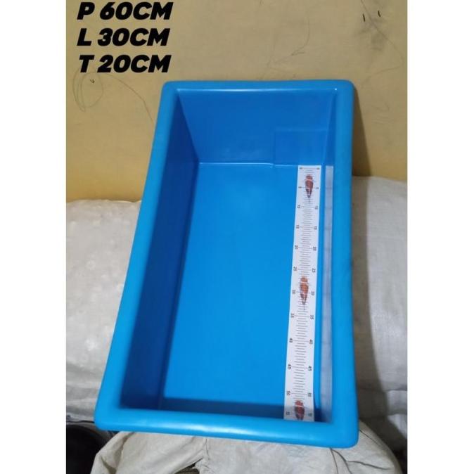Bak ukur fiber ikan koi 60cm ORI