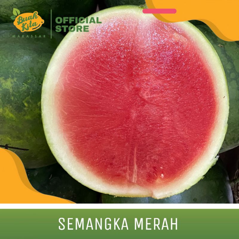 

SEMANGKA SEEDLESS LOKAL