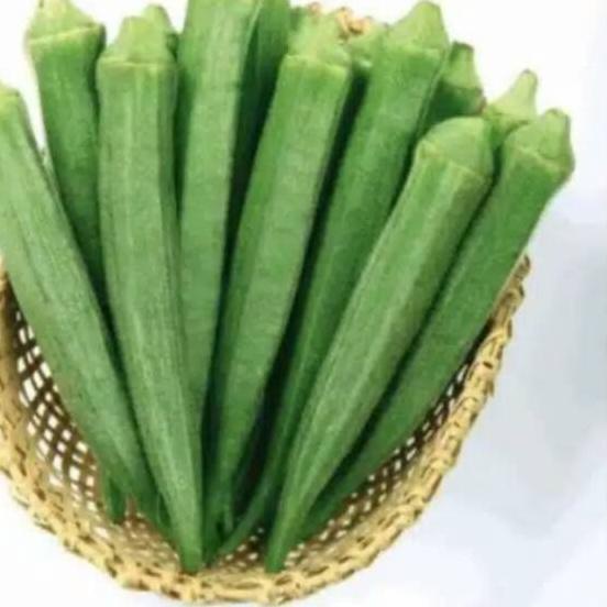 Sayur Okra hijau Fresh /1kg