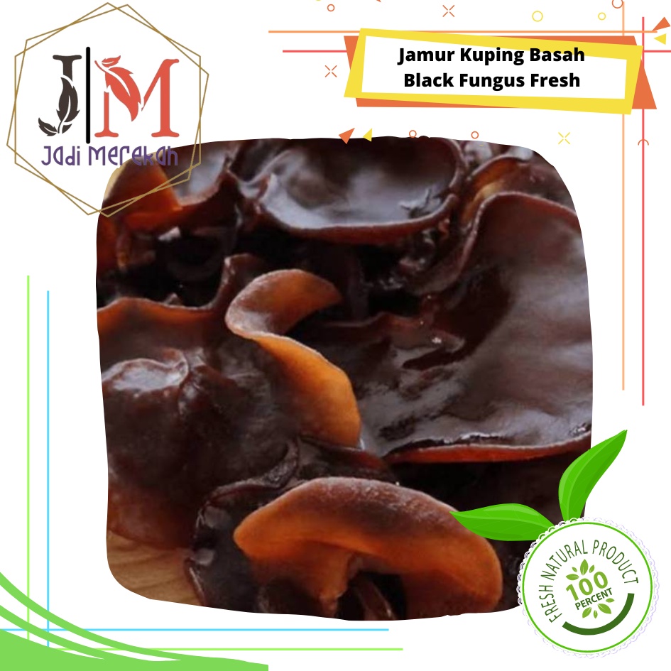 

[JM SoFresh] Jamur Kuping Segar / Basah (Black fungus) / Jelly Fungi