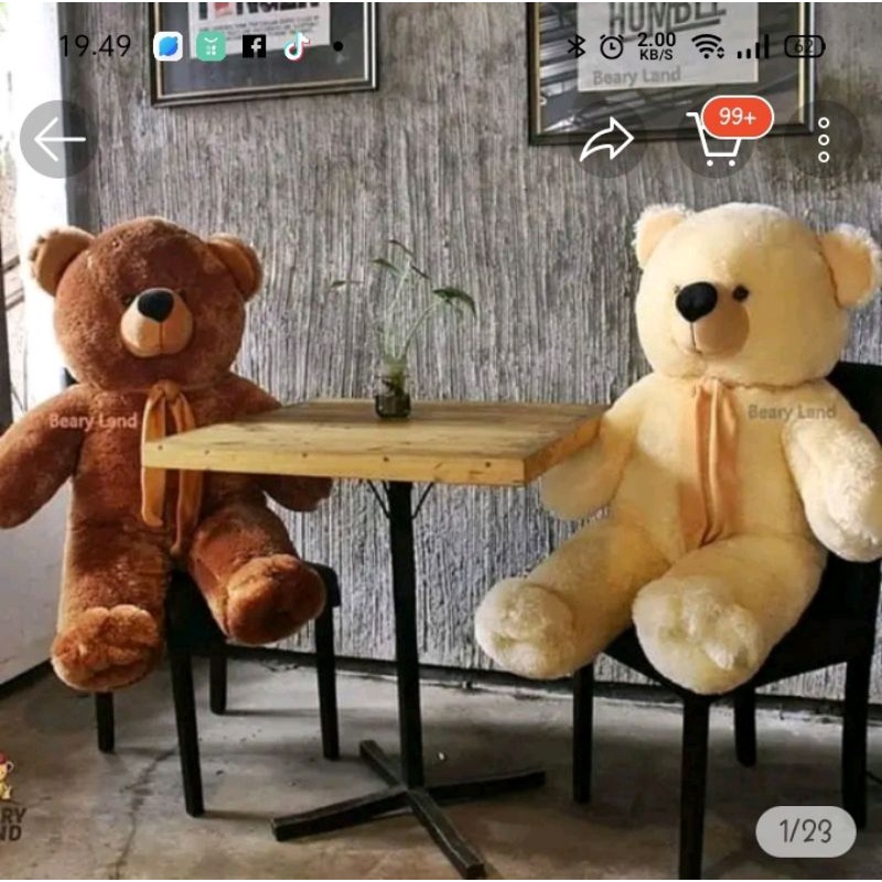 BONEKA KUCING IMPORT JUMBO