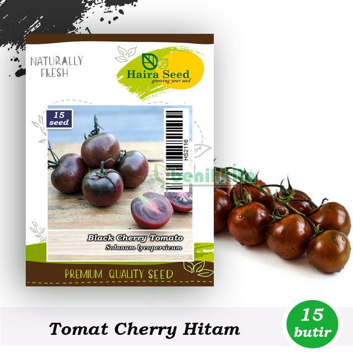 [Bibit] Benih-Bibit Tomat Black Cherry (Haira Seed)