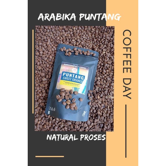 

BEST SELER KOPI ARABIKA PUNTANG PROSES NATURAL 250 GRAM BUBUK DAN BIJI