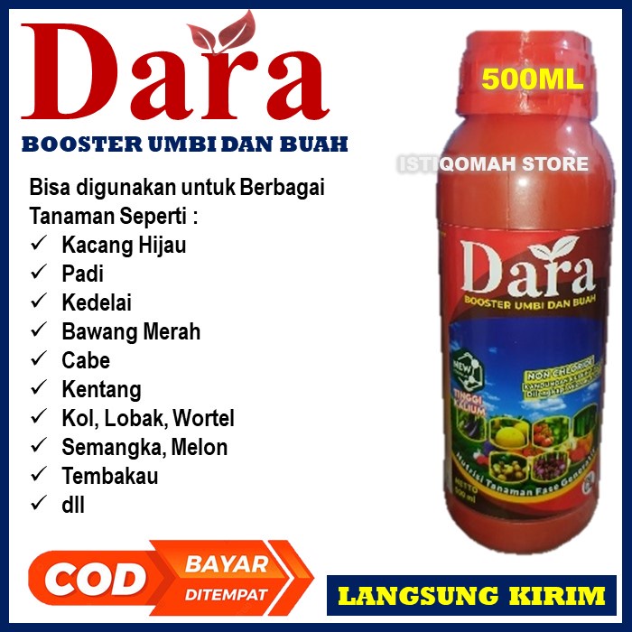 Booster Buah Padi DARA 500ML Obat Pengisian Bulir Padi - Obat Bulir Buah Padi - Obat Padi Obat Buah Padi - Obat Penambah Bobot Padi - Obat Buah Padi Ber Bobot - Obat Penambah Berat Padi - Obat Semprot Padi yang Bagus Ampuh Murah Terlaris