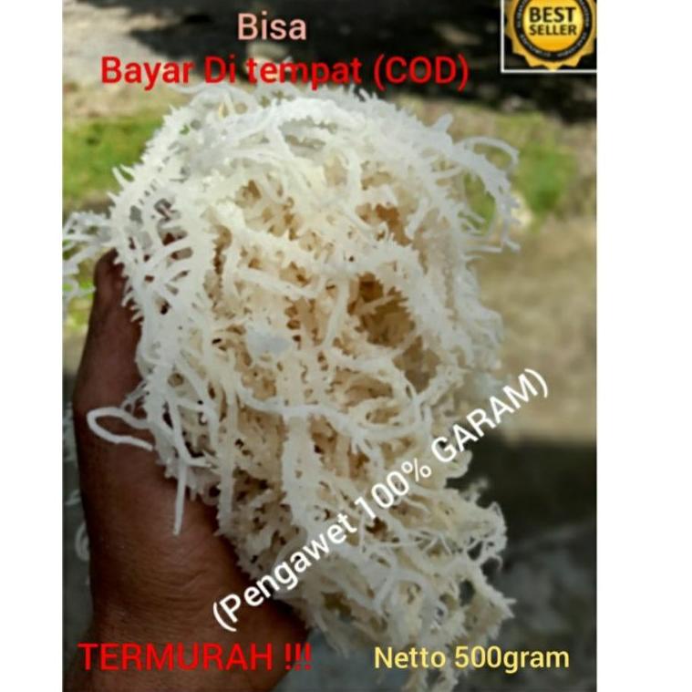 

Laris Rumput laut kering normal kemasan 500gram QR6