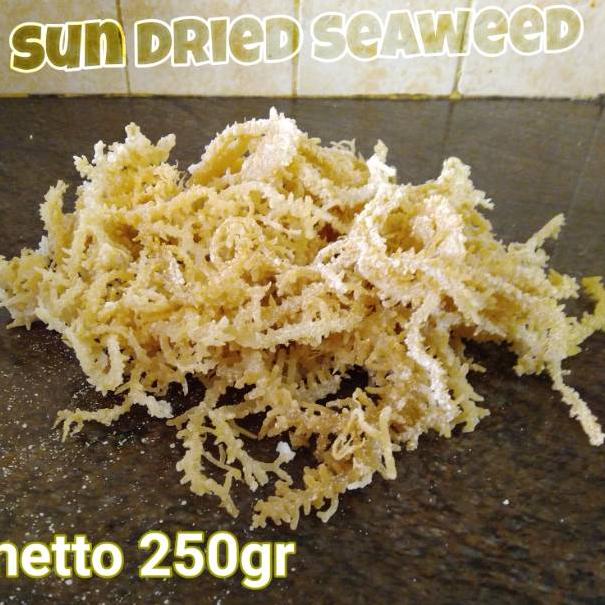 

Stock Banyak - Rumput laut kering organic 250gr / rumput laut organik / sea moss lokal / sun dried seamoss 250gr ☁
