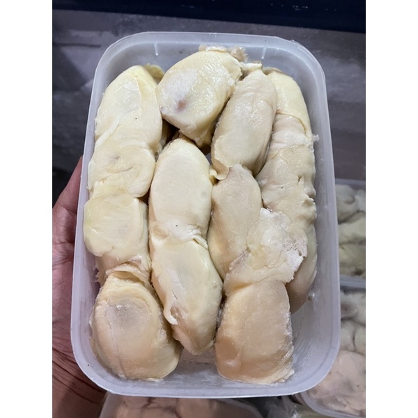 DURIAN NIAS LOKAL