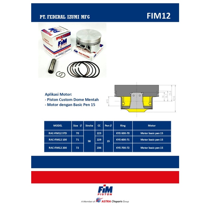 Jual Fim Piston Kit Modifikasi Basic Pen Dome Mentah Shopee