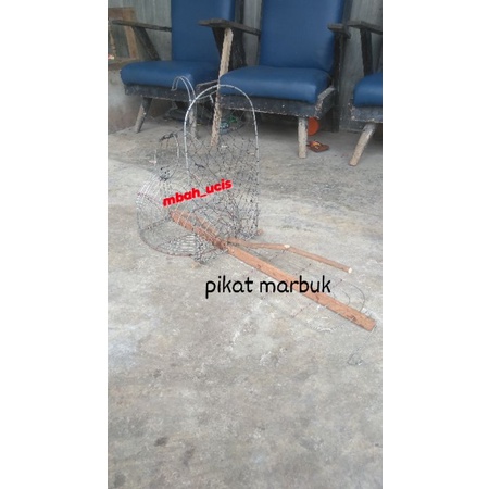 sangkar jebak marbuk, jebakan marbuk, jebakan perkutut, jebakan burung