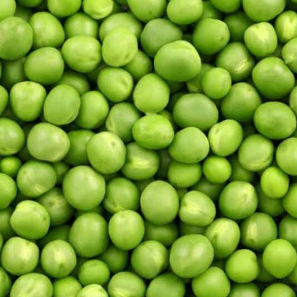 

GREEN PEAS IMPORT KACANG POLONG