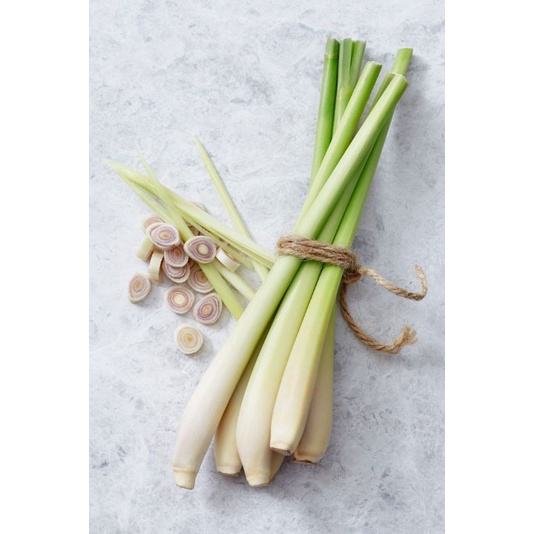 

Serai Bumbu Dapur#bumbu#perlengkapan memasak#