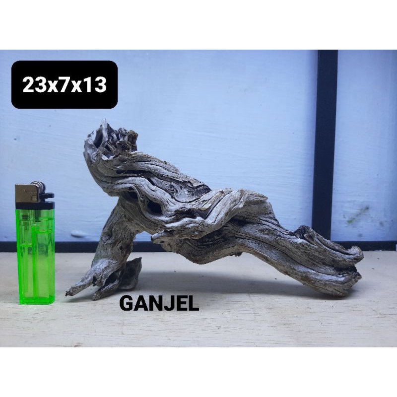 Kayu Santigi Laut Full Tenggelam Size 30-39cm Aquascape Chana Predator