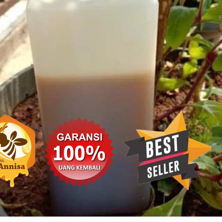 

Terbaru | KI3 | madu hutan sialang jambi asli 1kg madu hutan sialang asli madu murah | madu jakarta madu annisa