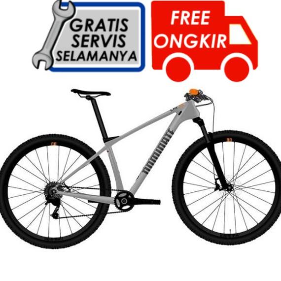 Sepeda MTB - Sepeda Dominate CXC Elite 29