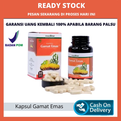 Obat Benjolan Usus, Polip Usus, Penghilang Benjolan Polip, Tumor Usus, Kanker Usus, Obat Minum Polip