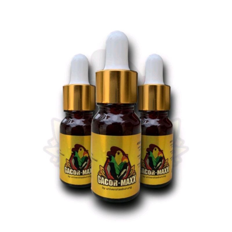 Gacor maxx penggacor burung rajin bunyi berstamina gacor max gacormaxx