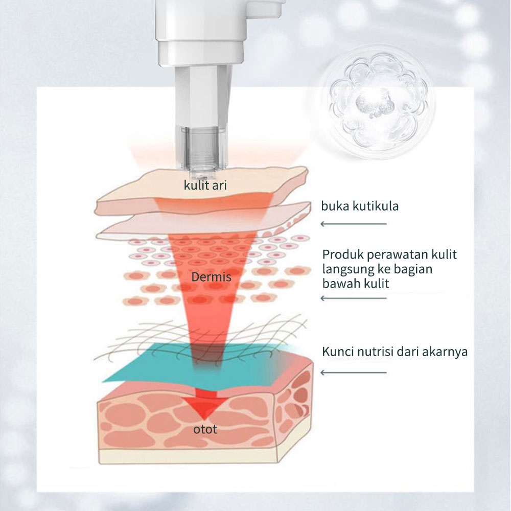 Nano mikrokristalin cahaya biru merah ungu Alat kecantikan/pembersih rumah tangga dan peremajaan alat alat kecantikan/alat facial wajah