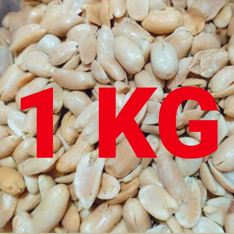 

MURAH! 1 KG KACANG BAWANG BESAR