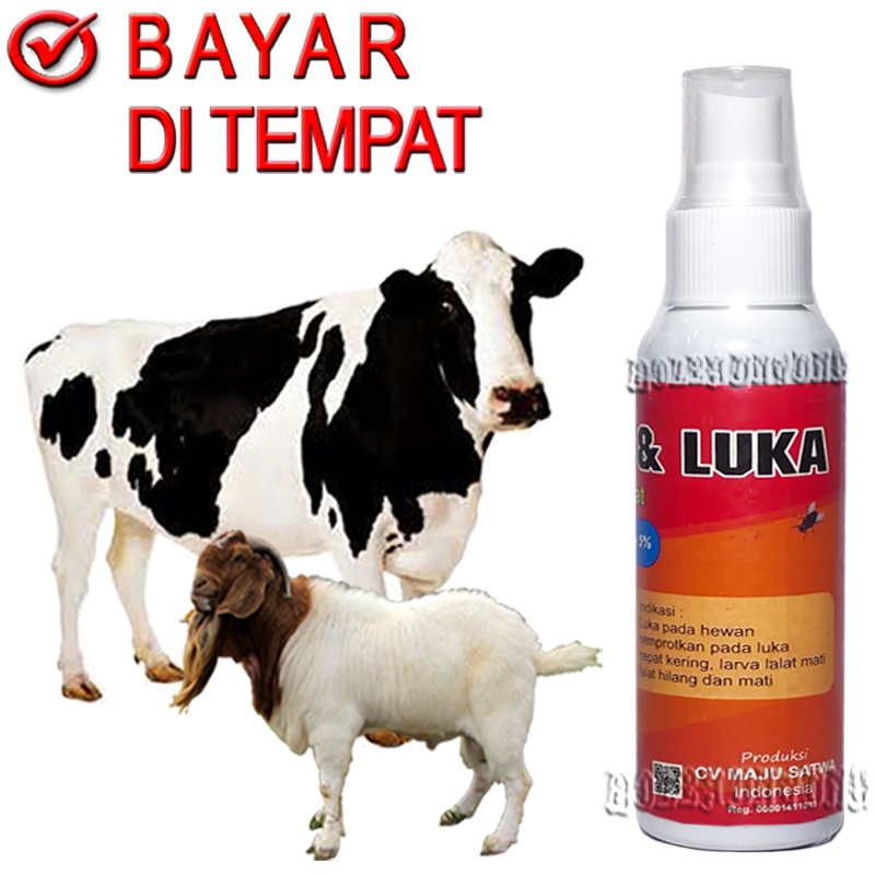 ANTI LUKA LALAT SPRAY OBAT KORENG SAPI KAMBING GUDIX JAMUR EKSIM
